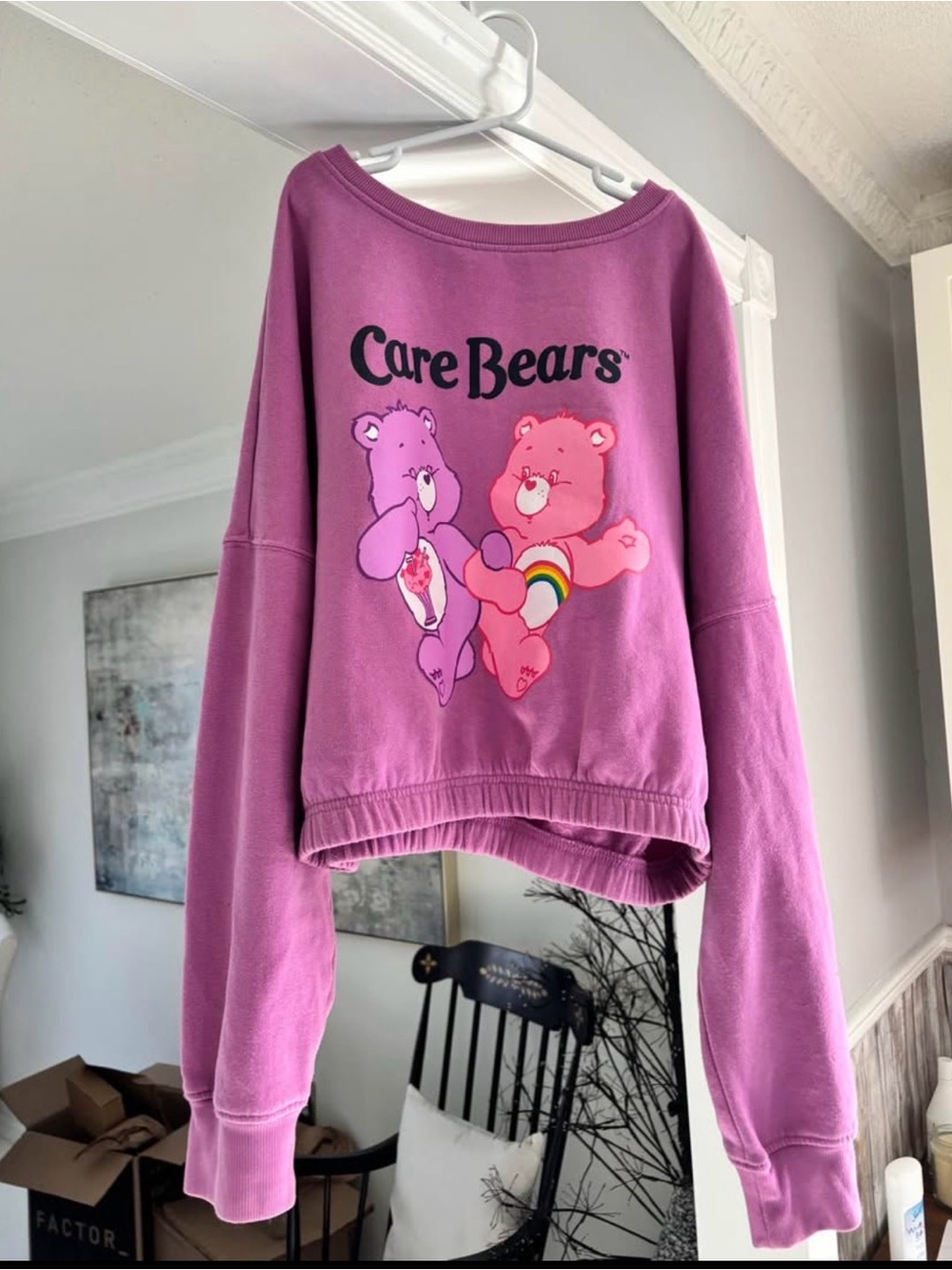 Care Bears Vibrant Magenta Graphic Sweatshirt